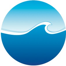 Hosting Package A (Basic - 1 Month)